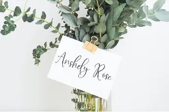 Sunday Bouquet font