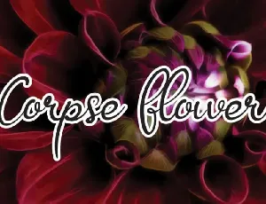 Corpse Flower font