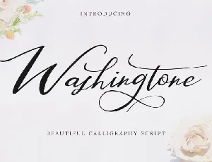 Washingtone Calligraphy font