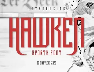 Hawken Display font