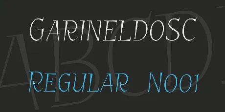 GarineldoSC font