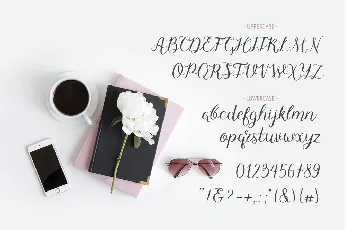 Dreamer Script Free font