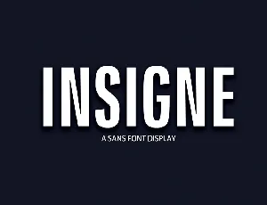 Insigne font