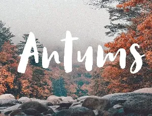 Antums Script font