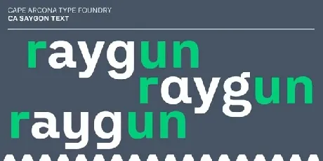 CA Saygon Text Family font
