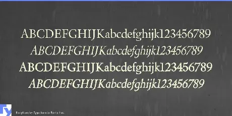 Berylium font