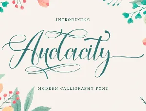 Audacity font