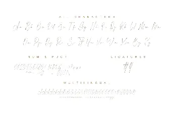 Photograph font