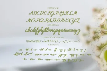 Arkusi Script font