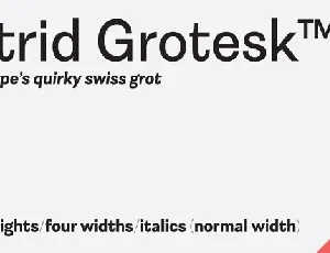 Astrid Grotesk Family font