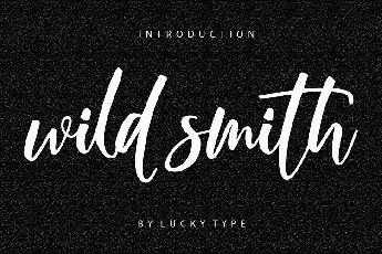 Wild Smith Modern Script font