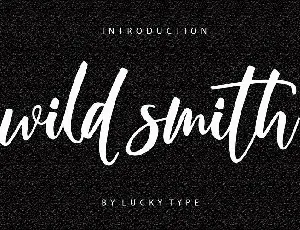Wild Smith Modern Script font