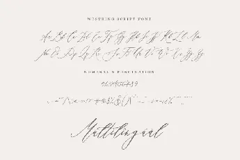 Westring Elegant font