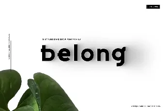 Belong Family font