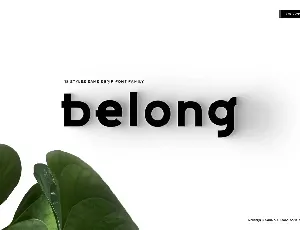 Belong Family font