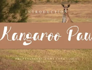 Kangaroo Paw Script font