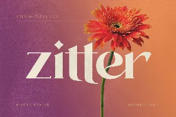 Zitter font