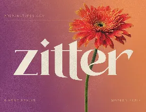 Zitter font