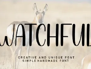 Watchful Display font