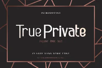 True Private Demo font