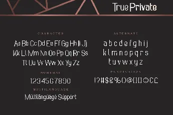 True Private Demo font