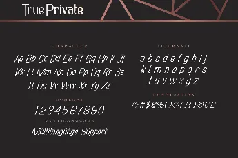 True Private Demo font