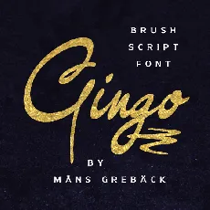 Gingo PERSONAL USE font