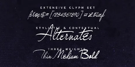 Gingo PERSONAL USE font