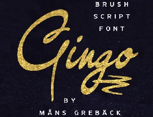 Gingo PERSONAL USE font