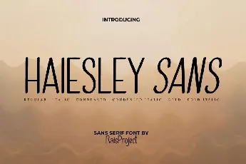 Haiesley Sans Demo font