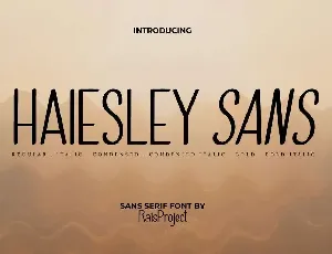 Haiesley Sans Demo font