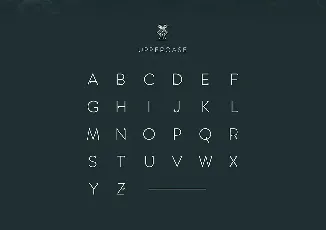 Amsdam font