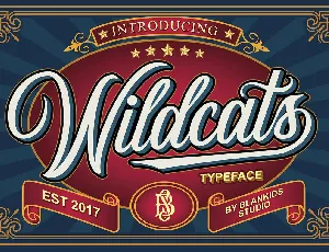 Wildcats font