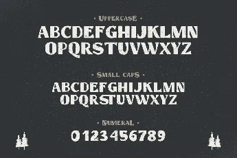 Hastag Vintage font