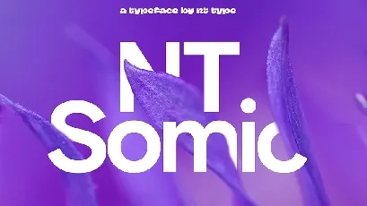 NT Somic font