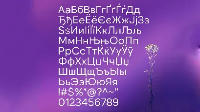 NT Somic font