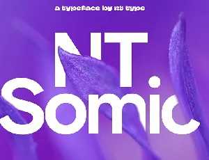 NT Somic font