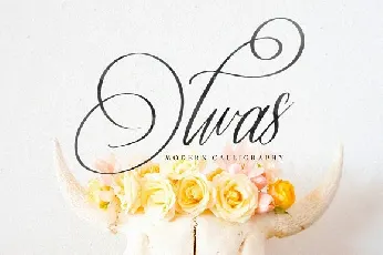 Olwas Script Free font