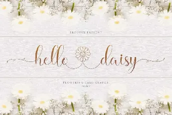 Hello Daisy Calligraphy Script font