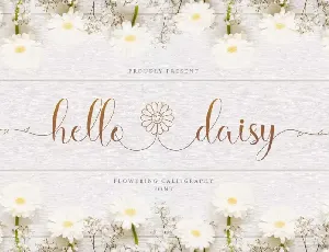 Hello Daisy Calligraphy Script font
