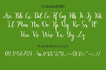 Smart Cat font