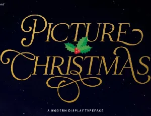 Christmas Picture font