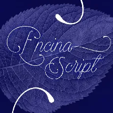 Encina Script font