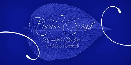 Encina Script font