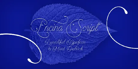 Encina Script font