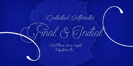 Encina Script font