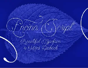 Encina Script font