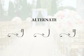 Wedding Calligraphy Typeface font