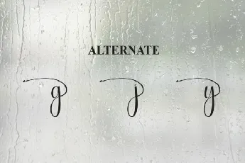 Rainday Calligraphy font