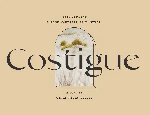 Costigue font